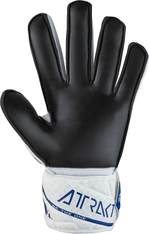 _original_Rekawice-Reusch-Attrakt-Solid-5470016-r-9-5_[14092]_0c20274c9e34.jpg
