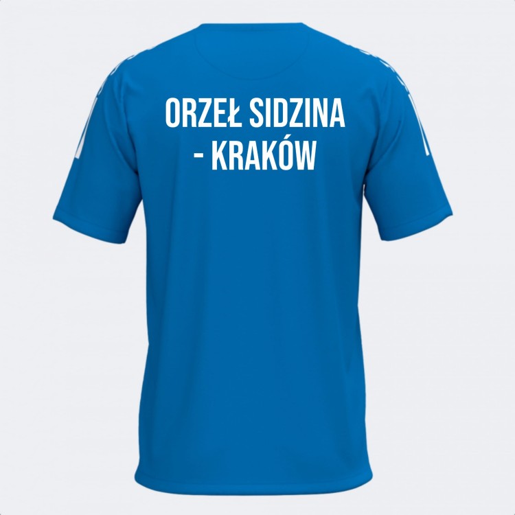 Orzeł Sidzina-Kraków 103245.700 2.jpg