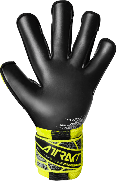 Reusch Attrakt Gold X Evolution 5570964 2025 2025 back.png