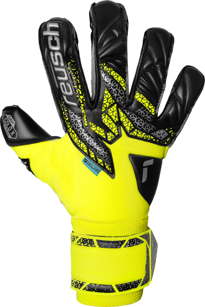 Reusch Attrakt Gold X Evolution 5570964 2025 2025 front (1).png