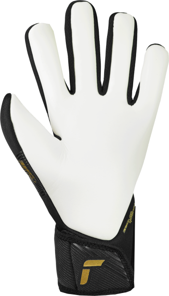Reusch Fastgrip Silver 5570200 7707 black back.png