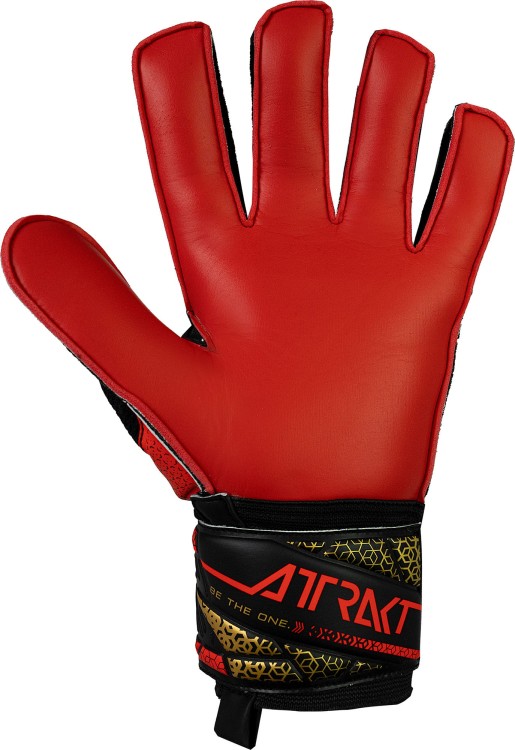 55 70 515_7075_h.jpg