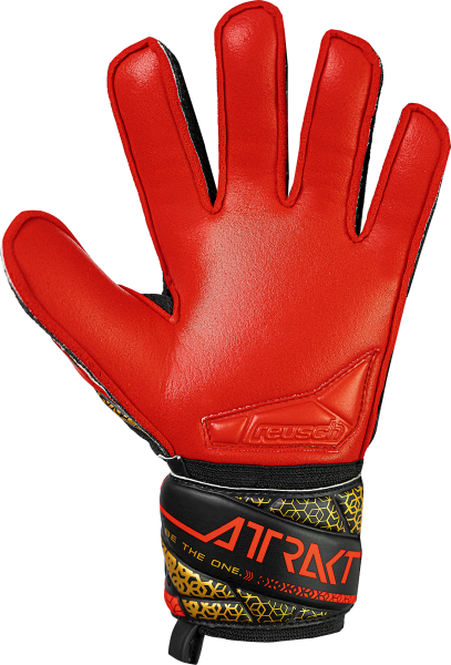 Reusch Attrakt Silver Junior 5572215 7075 7075 back.png