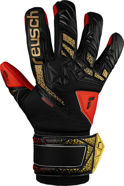 Reusch Attrakt Freegel Silver Junior 5572235 7075 7075 front.png
