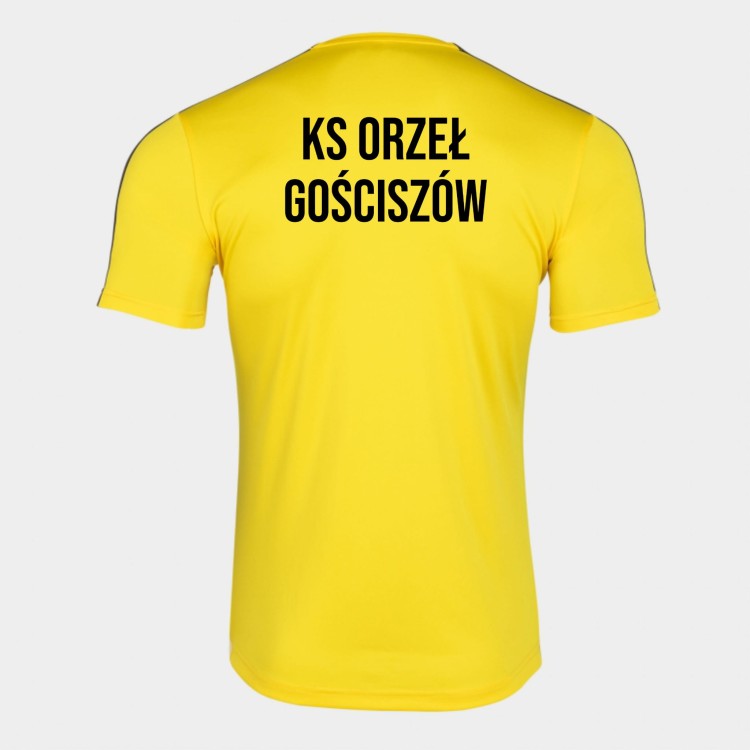 KS Gościszów wizualizacja3.jpg