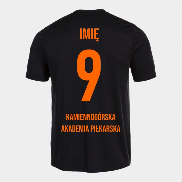 Kamiennogórska AP 100052.100 1.jpg