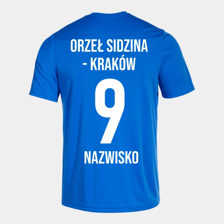 Orzeł Sidzina-Kraków 100052.700 3.jpg