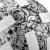 13680500_5_f.jpg